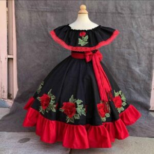 670500125_1968640714012459_5515113829317412304_n Vestido Tipico Mexicano